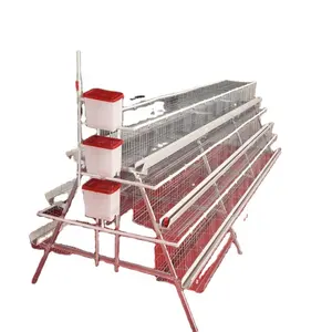 Newest Product Cages A Type Layer Chicken Cage Battery Indian With Best Prices