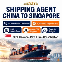Transport aérien + routier DDP en 5-7 jours, double dédouanement, taxes incluses vers le Royaume-Uni, entreprise de logistique Chine vers Singapour, États-Unis, Royaume-Uni, Canada