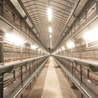 Cage à poulets de chair de type H entièrement automatique galvanisée à chaud pour ferme avicole moderne, système d'élevage haute densité à 3-8 niveaux