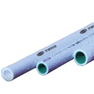 Good Quality Plumbing Pn12.5/Pn16/Pn20/Pn25 Hot Cold Water Plastic Ppr Pipe