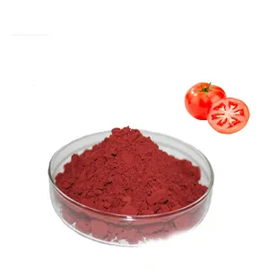 Factory Wholesale Tomato Skin Extract CAS 502-65-8 Lycopene Extract Lycopene 5% 10% Lycopene Powder