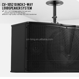 Altavoz de karaoke de CV-1052, sistema de altavoces de rango completo, de <span class=keywords><strong>10</strong></span> pulgadas, 2 vías, CV 1052, profesional - Product Image 6