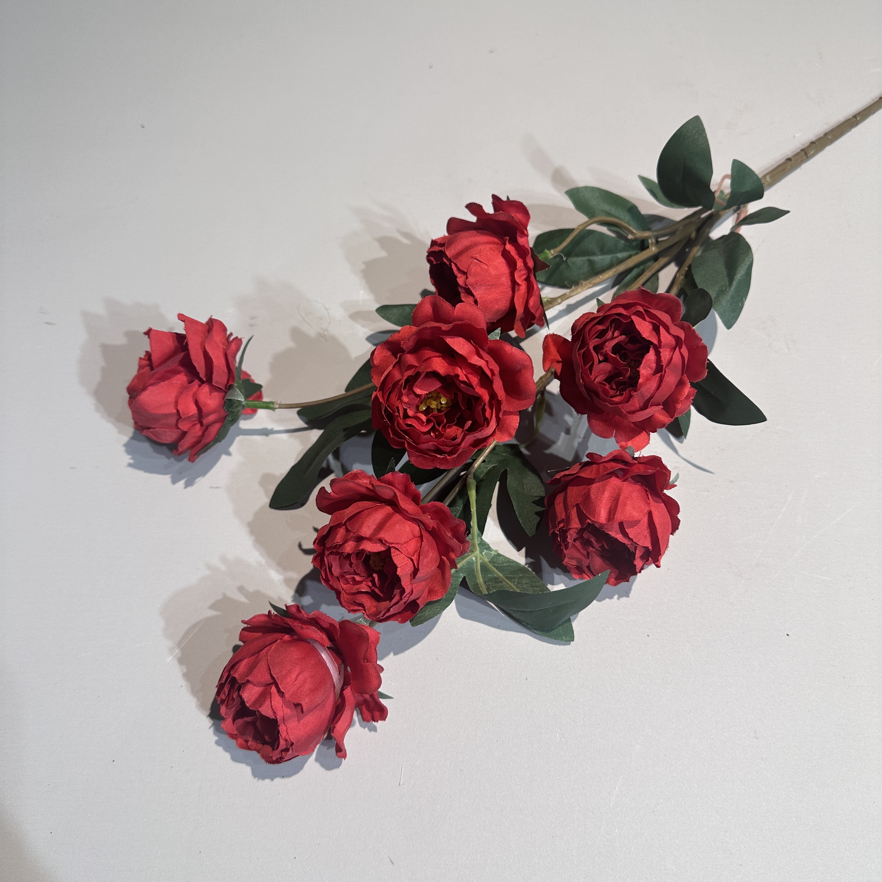 Spring red