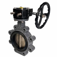 Katup Kupu-kupu Tipe Lug PN10 DN150 dengan Seal Karet Lunak dan Body Besi Ductile untuk Pipa Air