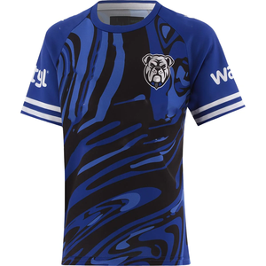 2026 Service OEM Personnalisé Maillot de Rugby League en Polyester, Polos de Rugby Vierge, Shorts, Tenues de Football, Impression par Sublimation Dog - Product Image 3