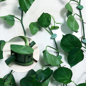 10 pièces sac auto-adhésif <span class=keywords><strong>plante</strong></span> mur <span class=keywords><strong>plante</strong></span> crochets fixateur Clips pour plantes grimpantes vert plastique vignes support - Product Image 2