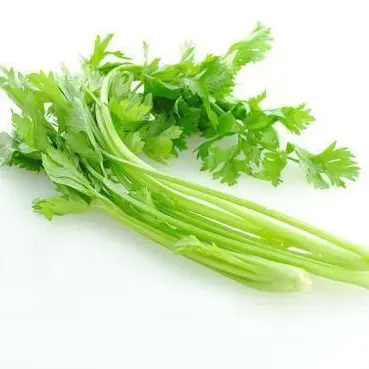 High Quality fresh celery Green Vegetables Wholesale price Celery healthy quality for export