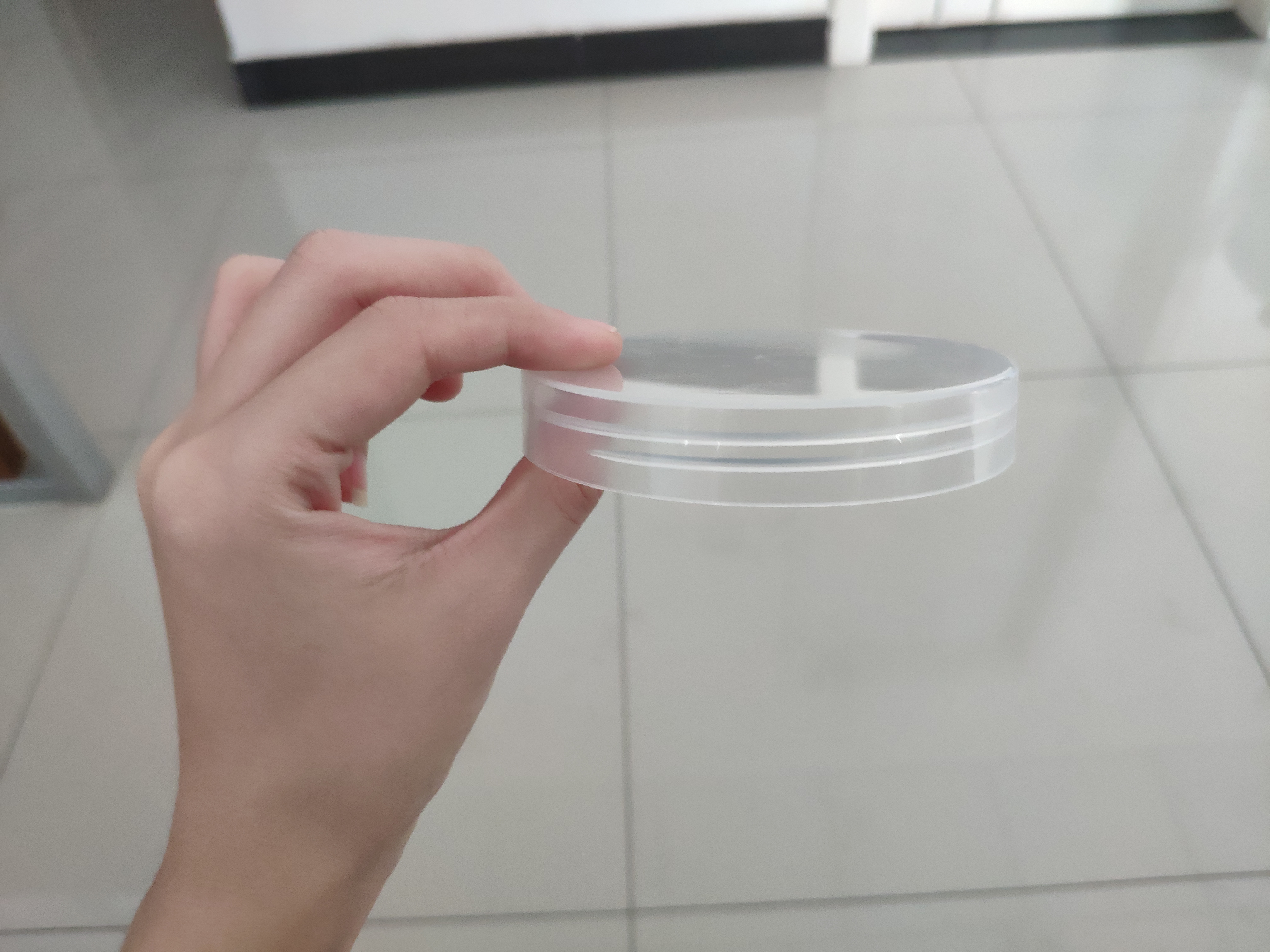 couvercle en plastique transparent