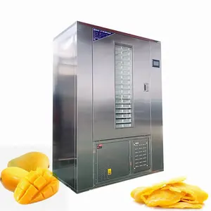 Fruit Dryer Dehydrator Máquina Mango Hot Air Drying Equipment / 15 bandeja bomba de calor abacaxi copra espinafre secagem máquina