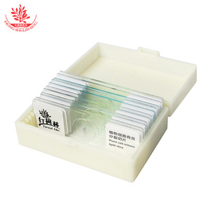 Portaobjetos de mitosis celular de sección longitudinal de punta de raíz de cebolla para observación sincrónica de células en biología de secundaria - Product Image 5