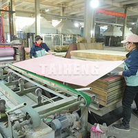 Panneau de contreplaqué décoratif mélaminé de qualité fabricant vérifié, surface résistante à l'humidité, qualité mobilier