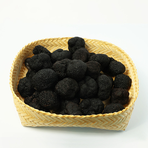 Trufas Negras Silvestres de Yunnan Congeladas Rápidamente (IQF) de 1 kg, <span class=keywords><strong>Precio</strong></span> de Fábrica, del Fabricante de Yunnan - Product Image 1