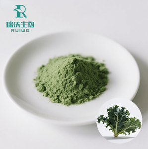 Toptan <span class=keywords><strong>100%</strong></span> doğal organik <span class=keywords><strong>Kale</strong></span> tozu 99% sebze özü gıda sınıfı ot bitkisel özü fabrika doğrudan satış - Product Image 3