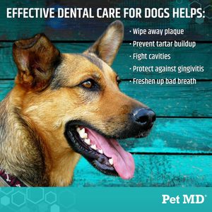 Toallitas Dentales Pet MD, 100 Unidades, Sabor a Manzana Fresca y Menta para Perros - Product Image 3