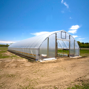 Serre agricole multi-spans One One Romania, serre <span class=keywords><strong>tunnel</strong></span> pour la <span class=keywords><strong>culture</strong></span> avec une durée <span class=keywords><strong>de</strong></span> vie supérieure à 15 ans - Product Image 6