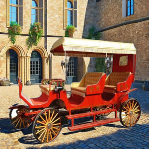 स्टील सफेद/काले 8-10 व्यक्ति जीडब्ल्यू पर्यटन के लिए शाही घोड़े की सवारी - Product Image 5