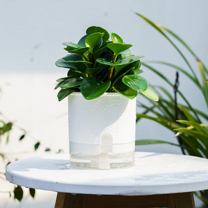 Self watering planting pots plastic indoor outdoor plants flower pot