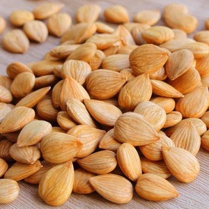 글루텐 프리 아몬드 밀가루 분말 영양 식품 첨가물 성분 대체 밀가루 전문가 - Product Image 3