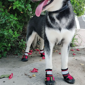 Lindos Zapatos para Perro Impermeables y Transpirables para Exteriores con Dos Tiras Reflectantes, Suelas Resistentes Antideslizantes (Cuero y Goma), Juego de 4 Piezas - Product Image 5