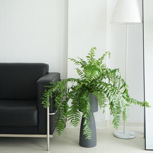 Kit de maceta alta minimalista simple, maceta redonda mate <span class=keywords><strong>para</strong></span> el hogar, sala de estar, balcón, decoración de jardín, Kit de plantación al por mayor - Product Image 6