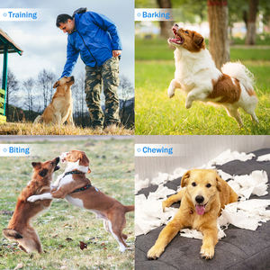 Portable extérieur 3 fonctions nouveauté arrêter dispositif de contrôle des aboiements ultrasons chien aboiement dissuasif Led ultrasons chien répulsif - Product Image 4