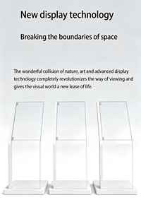 Pantalla Táctil OLED Transparente Ultrafina de 55 Pulgadas con Animación y SDK para Tiendas Minoristas, Centros Comerciales y Ascensores - Product Image 2