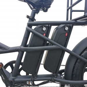 Bicicleta Eléctrica de Largo Alcance para Reparto con <span class=keywords><strong>Doble</strong></span> Batería - Product Image 6