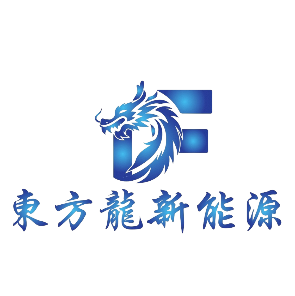 Wuhan Dongfanglong Automotive Technology Co., Ltd. logo