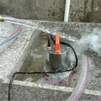 Pompe à eau électrique à engrenages submersibles basse tension 12V 24V 48V pour irrigation agricole et jardin pompe à batterie solaire OEM