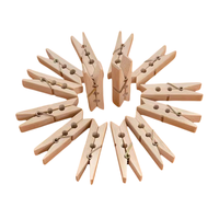 Pinzas de Ropa de Madera de Abedul Natural Ecológicas, Resistentes, con Resorte, para Secar Ropa en Casa