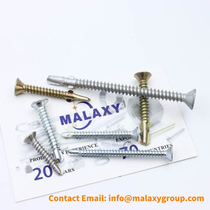 Malaxy สกรูเจาะด้วยตัวเองสีขาว17โครงยึดหัวสกรูเจาะด้วยตัวเองสำหรับ <span class=keywords><strong>phill</strong></span> CROSS สกรูยึด316ดัดแปลงแบน - Product Image 4