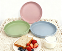 Plaque en silicone jetable de qualité alimentaire durable résistante à la chaleur sans BPA gravure personnalisée sans danger pour restaurant fête usage domestique