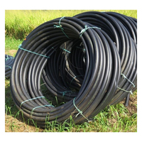 Tuyau d'irrigation agricole perforé en PE de petit diamètre pour goutte-à-goutte, tuyau HDPE 20 mm pas cher pour usine