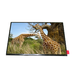 En Stock, Pantalla LCD B101UAN01.E de 10.1 Pulgadas, 1920*1200, Panel TFT LCD - Product Image 1