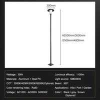 Lámparas de Jardín Profesionales de Alta Potencia con un Solo Faro, Resistentes al Agua IP65, Fuente SMD, Material de Aluminio, 30W LED, para Exteriores