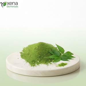 Fabricant d'extrait de feuilles de Neem, fournisseur en gros de poudre d'extrait de Neem naturel - Product Image 1
