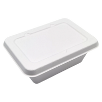 Échantillon gratuit Boîte d'emballage de pâte de bagasse Boîte à lunch à emporter de restauration rapide blanche de couleur naturelle Conteneur de nourriture Boîte à dessert