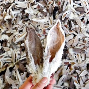 Bán buôn khỏe mạnh tự nhiên con chó xử lý khô tai thỏ cho chó - Product Image 4