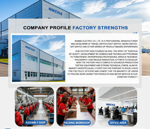 Micro-interrupteur TM-1307 <span class=keywords><strong>3</strong></span> broches, levier à charnière long et droit, bouton poussoir momentané marche-arrêt <span class=keywords><strong>Arduino</strong></span>, mini-interrupteur métallique SPDT, usage industriel - Product Image 5