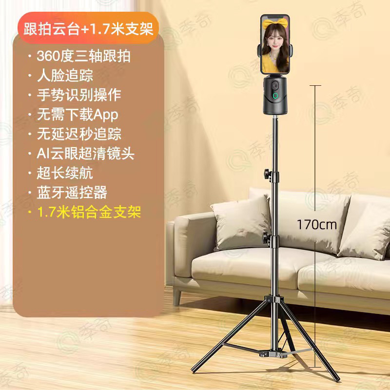 Q12 + stand