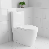 Pas cher Prix One Piece Céramique WC Toilette Sanitaire pour Salle De Bains Laver Sanitarios Toilette