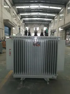 SGOB 1000kva Medium Voltage Oil Immersed Power Distribution Outdoor 1 Mw Transformer