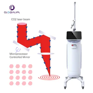 Multiple Treatment Parameters Safe And Painless Remove Acne Skin Rejuvenation OEM/ODM 2024 New Scar Removal Co2 Laser Machine