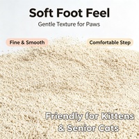 Litière pour chat biodégradable, légère, nette, à base de tofu brisé, facile à éliminer, faible résidu, haute absorption, neutralisant les odeurs