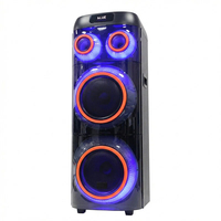 Système de sonorisation portable de haute puissance pour karaoké, avec deux haut-parleurs de 8 pouces, basses profondes, pour fêtes en extérieur