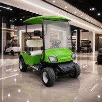 Carrito de Golf Eléctrico de 2 Plazas con Neumáticos Estándar, Batería Coloidal de 100 Ah, Vehículo para Clubes y Resorts, OEM/ODM Disponible