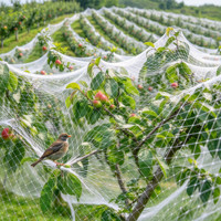 Filet anti-oiseaux OEM résistant aux intempéries pour la protection des fruits, des jardins potagers, des vignes sous auvent et sous serre
