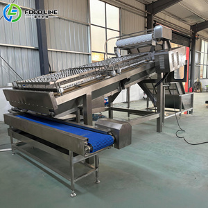 Máquina Automática Segura para Descabezar Camarones, Grado Alimenticio, No Tóxica, Apagado Automático para un Procesamiento Diario Estable de Camarones - Product Image 1