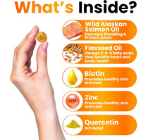 Friandises à mâcher pour la santé de la peau et du pelage des animaux avec huile de saumon, oméga-3, biotine, zinc – Favorise un pelage brillant, prévient la perte de poils – Compatible OEM/ODM