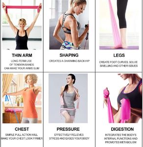Bande de résistance TPE personnalisée avec logo pour l'étirement et l'entraînement – Vente en gros Fitness - Product Image 2